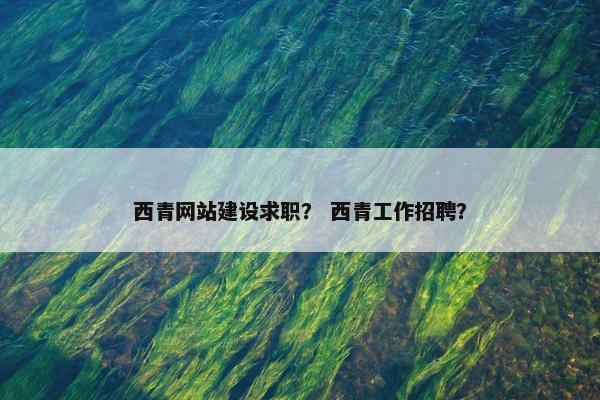 西青网站建设求职？ 西青工作招聘？