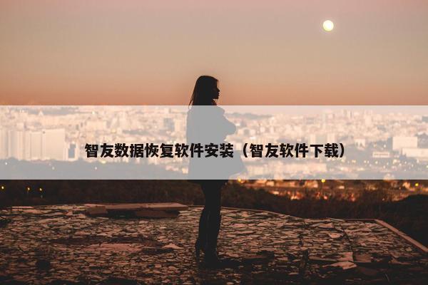 智友数据恢复软件安装（智友软件下载）