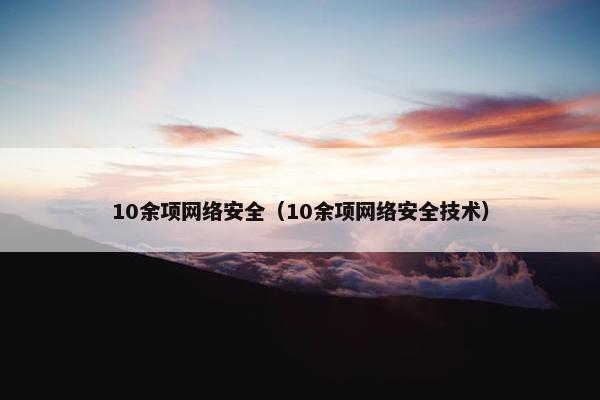 10余项网络安全（10余项网络安全技术）