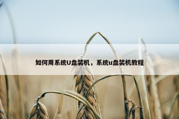 如何用系统U盘装机，系统u盘装机教程