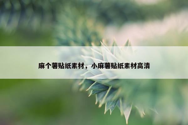 麻个薯贴纸素材，小麻薯贴纸素材高清