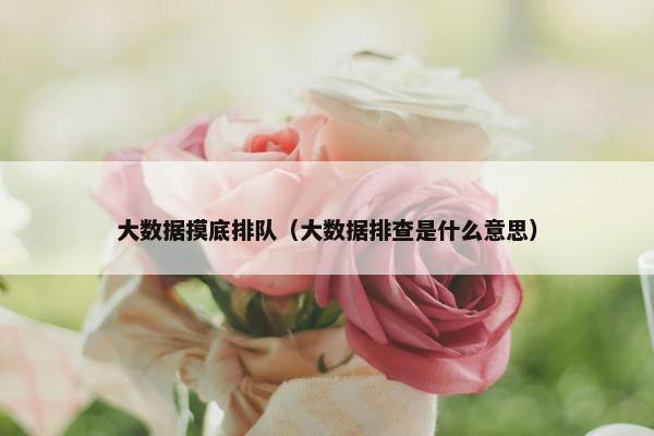 大数据摸底排队（大数据排查是什么意思）
