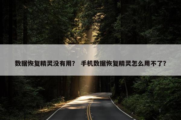 数据恢复精灵没有用？ 手机数据恢复精灵怎么用不了？