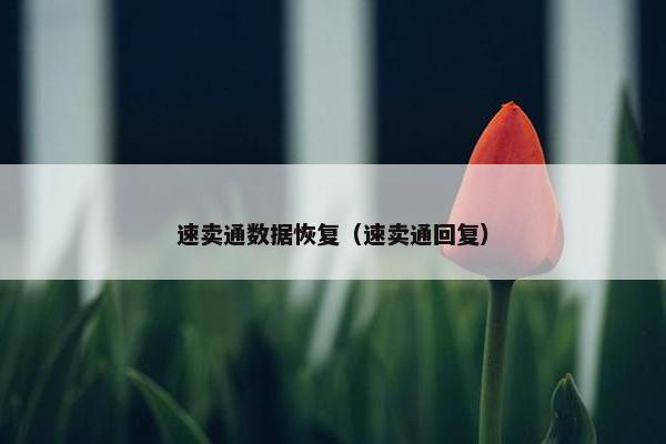 速卖通数据恢复(速卖通回复) 速卖通数据恢复(速卖通回复)