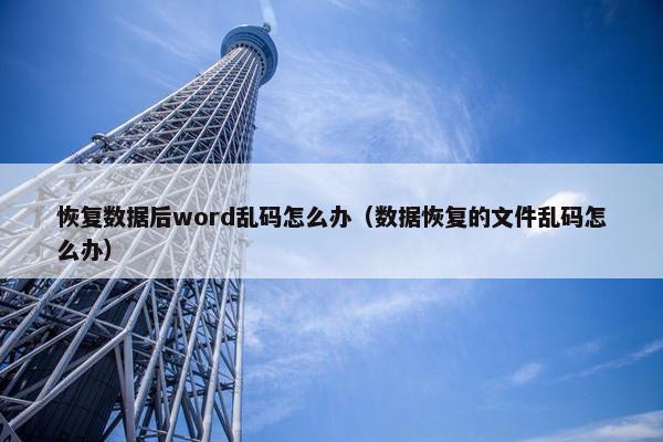 恢复数据后word乱码怎么办（数据恢复的文件乱码怎么办）