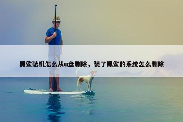 黑鲨装机怎么从u盘删除，装了黑鲨的系统怎么删除