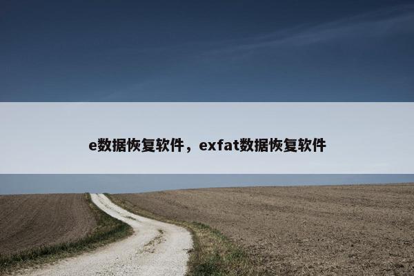 e数据恢复软件，exfat数据恢复软件