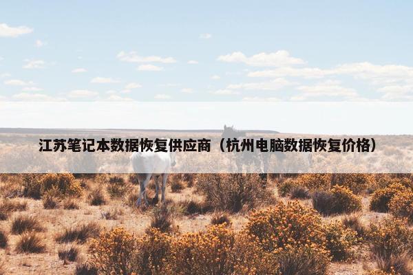 江苏笔记本数据恢复供应商（杭州电脑数据恢复价格）