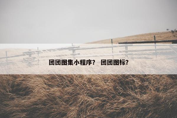 团团图集小程序？ 团团图标？