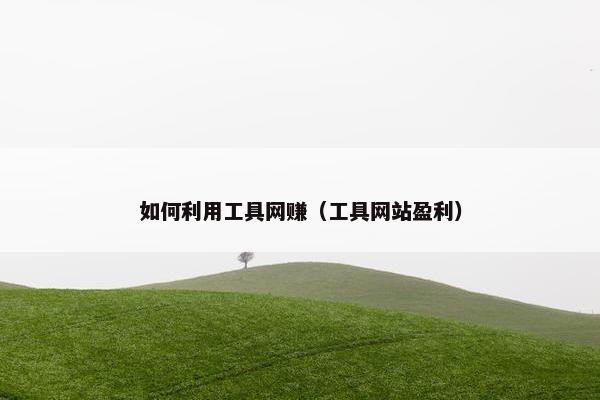 如何利用工具网赚(工具网站盈利) 如何利用工具网赚(工具网站盈利)