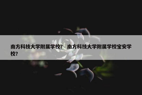 南方科技大学附属学校？ 南方科技大学附属学校宝安学校？