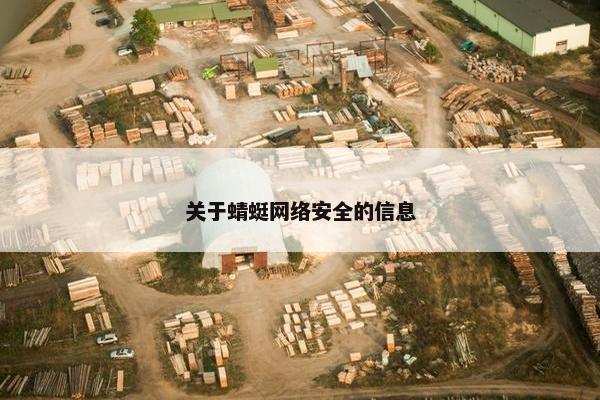 关于蜻蜓网络安全的信息