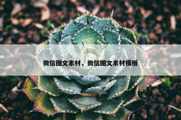 微信图文素材，微信图文素材模板