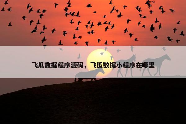 飞瓜数据程序源码，飞瓜数据小程序在哪里