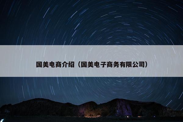 国美电商介绍（国美电子商务有限公司）