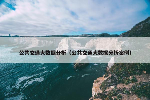 公共交通大数据分析（公共交通大数据分析案例）