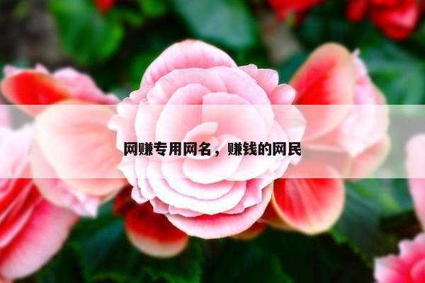 网赚专用网名，赚钱的网民