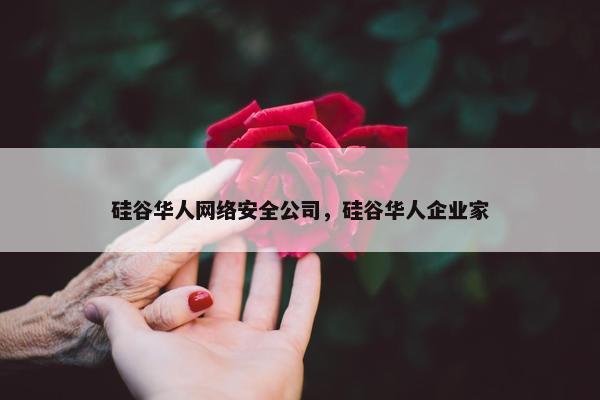 硅谷华人网络安全公司，硅谷华人企业家