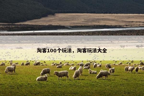 淘客100个玩法，淘客玩法大全