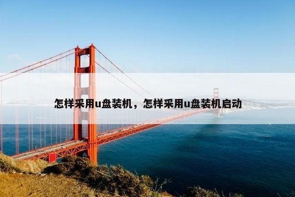 怎样采用u盘装机，怎样采用u盘装机启动