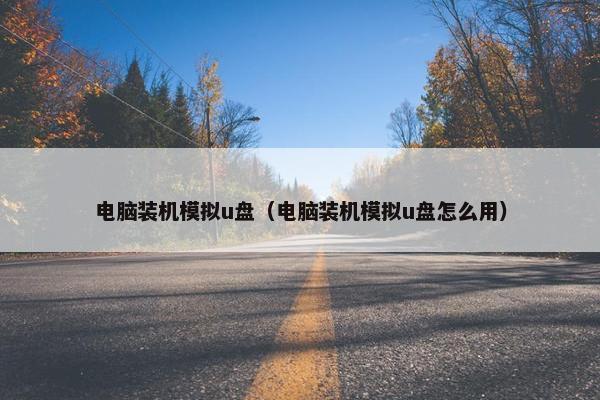 电脑装机模拟u盘（电脑装机模拟u盘怎么用）