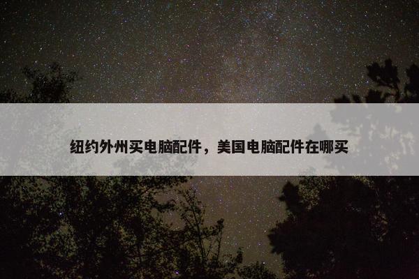 纽约外州买电脑配件，美国电脑配件在哪买