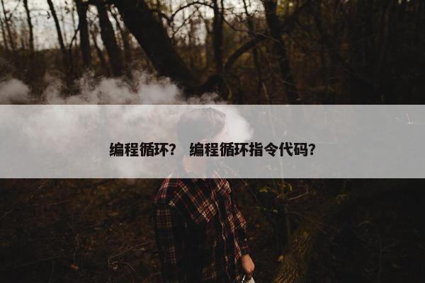 编程循环？ 编程循环指令代码？