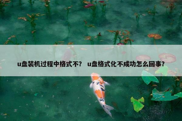 u盘装机过程中格式不？ u盘格式化不成功怎么回事？