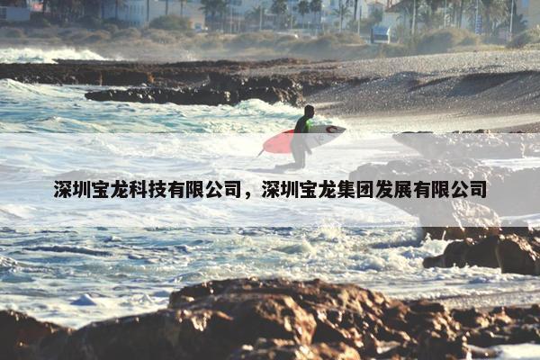 深圳宝龙科技有限公司，深圳宝龙集团发展有限公司