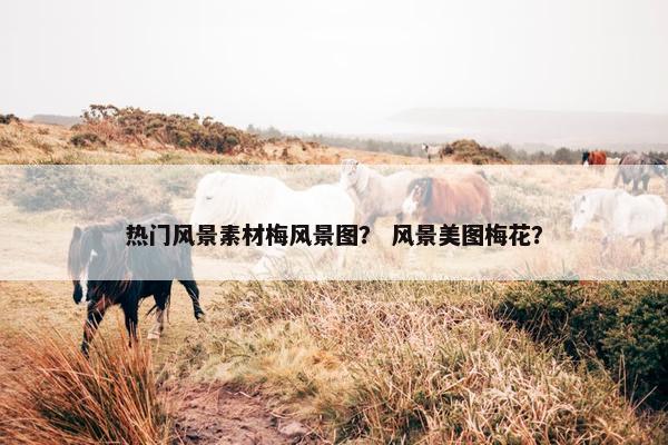 热门风景素材梅风景图？ 风景美图梅花？