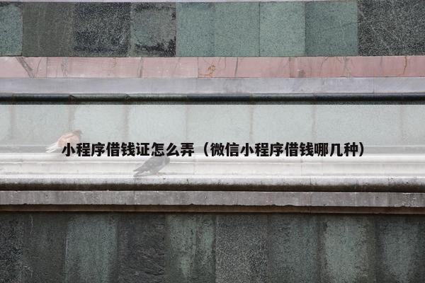 小程序借钱证怎么弄(微信小程序借钱哪几种) 小程序借钱证怎么弄(微信小程序借钱哪几种)