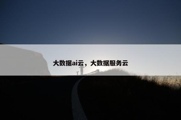 大数据ai云，大数据服务云