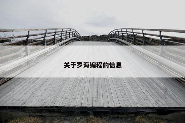 关于罗海编程的信息