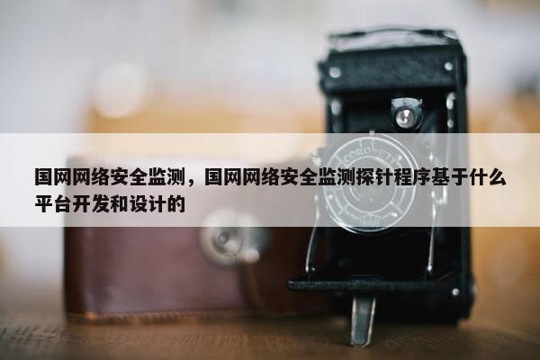 国网网络安全监测，国网网络安全监测探针程序基于什么平台开发和设计的