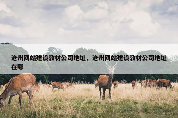 沧州网站建设教材公司地址，沧州网站建设教材公司地址在哪