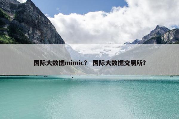 国际大数据mimic？ 国际大数据交易所？