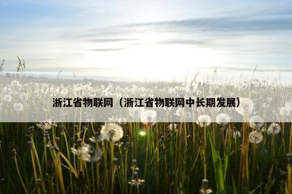 浙江省物联网（浙江省物联网中长期发展）