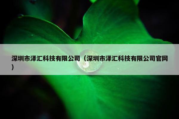 深圳市泽汇科技有限公司（深圳市泽汇科技有限公司官网）