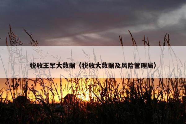 税收王军大数据（税收大数据及风险管理局）
