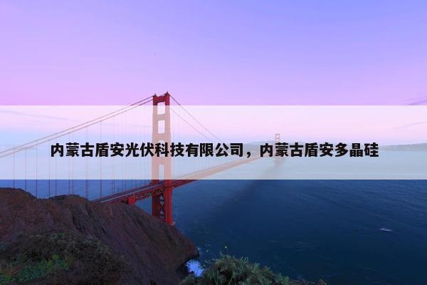 内蒙古盾安光伏科技有限公司，内蒙古盾安多晶硅