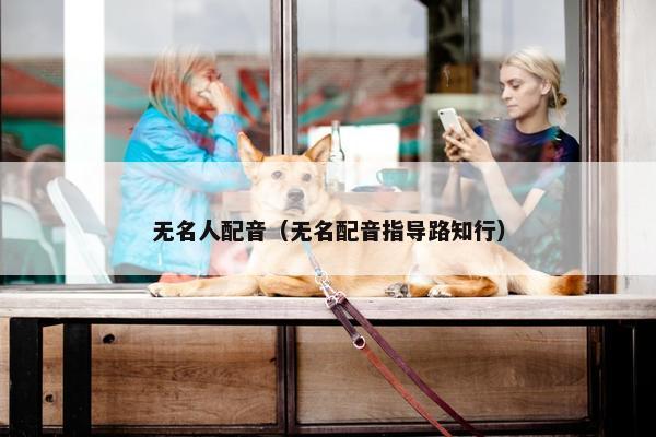 无名人配音（无名配音指导路知行）