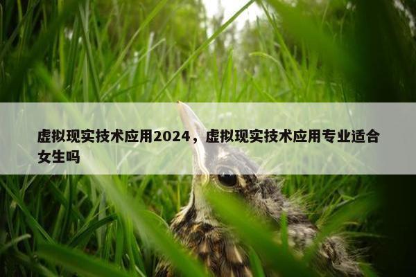 虚拟现实技术应用2024，虚拟现实技术应用专业适合女生吗