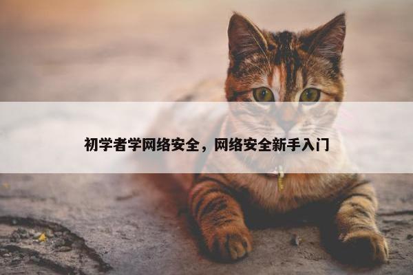 初学者学网络安全，网络安全新手入门