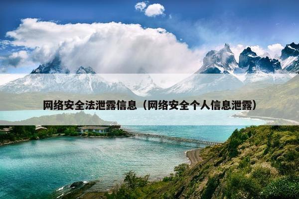 网络安全法泄露信息（网络安全个人信息泄露）