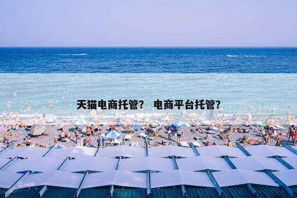 天猫电商托管？ 电商平台托管？