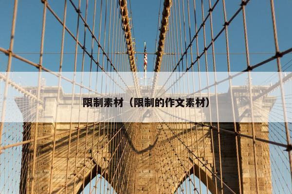 限制素材（限制的作文素材）