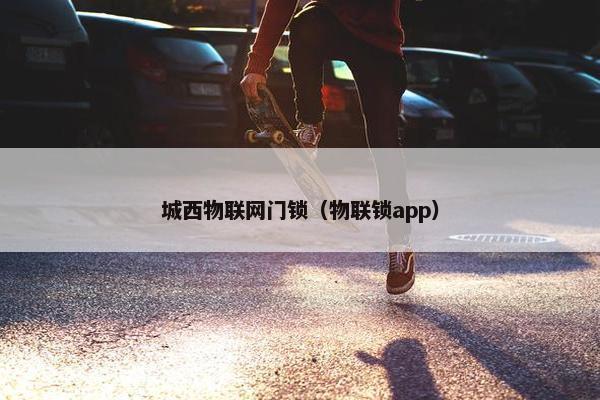 城西物联网门锁（物联锁app）