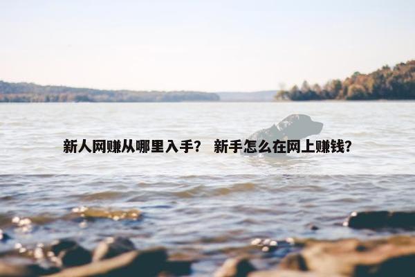 新人网赚从哪里入手？ 新手怎么在网上赚钱？