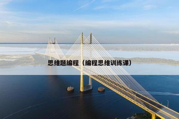 思维题编程（编程思维训练课）
