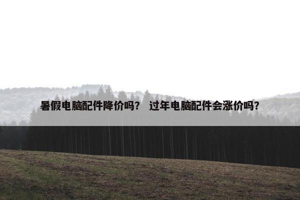 暑假电脑配件降价吗？ 过年电脑配件会涨价吗？